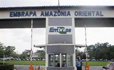 Climatização por splits na EMBRAPA Amazônia Oriental